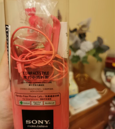 Sony/索尼 MDR-EX110AP 入...