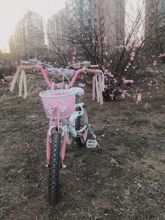 孩子大了，出闲置的自行车。车身挺结实的，车...
