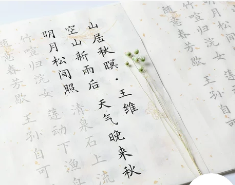 【狂欢价】长书 小楷毛笔字帖入门临摹成人初...