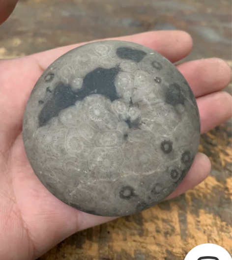 清代珊瑚玉镇尺，这类的很难收到，全满珊瑚玉...