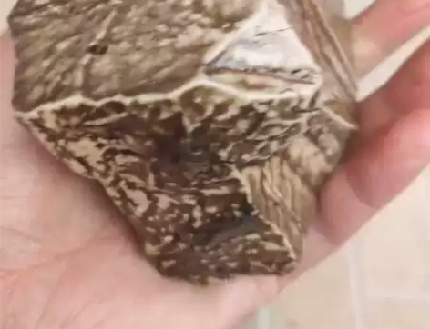 新疆老皮泥石，质地包浆好，825克，两面平...