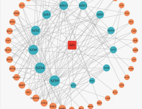 网络药理学##amp；amp；分子对接专业...