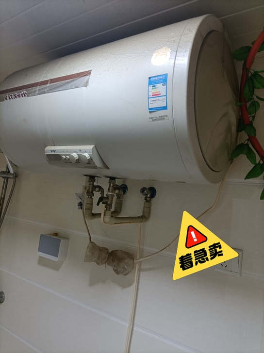 AO史密斯热水器 80L家庭自用,机器无损...