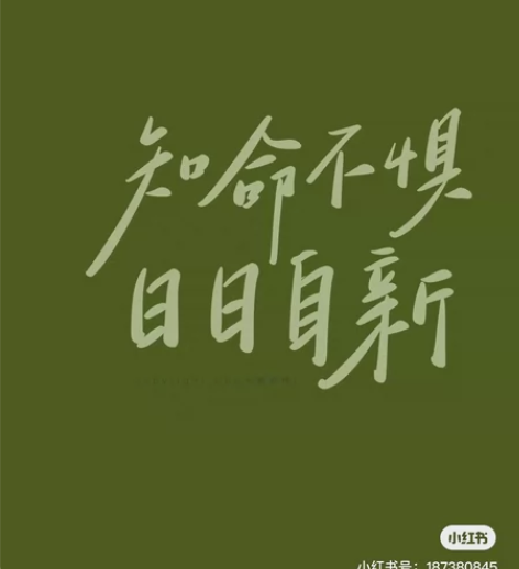 高一物理必修一辅导资料 在校老师整利所得 ...