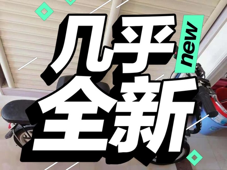 正步 折叠电动锂电池自行车 九成新 最好同...
