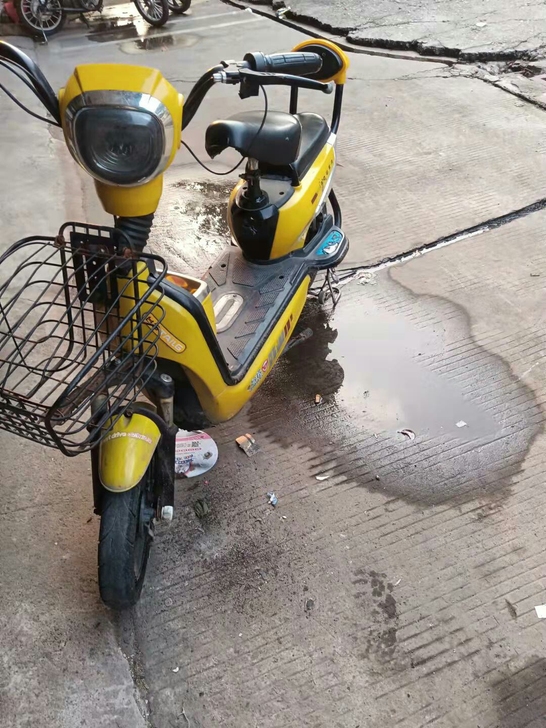 48V台铃名车，整体完好，一切正常，三档调...
