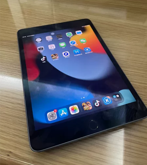 iPad  mini5  64g  个人自...