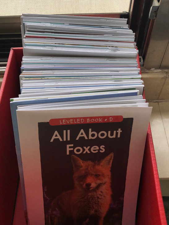 红标RAZ D全新，买重复了