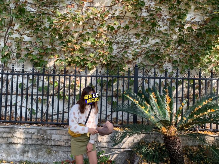 实体店购入 S 毛衣 针织衫 波点