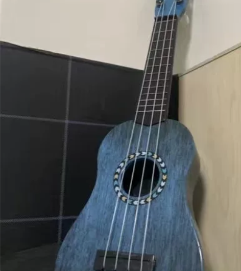 出个人闲置尤克里里吉他初学者零基础女生新手...
