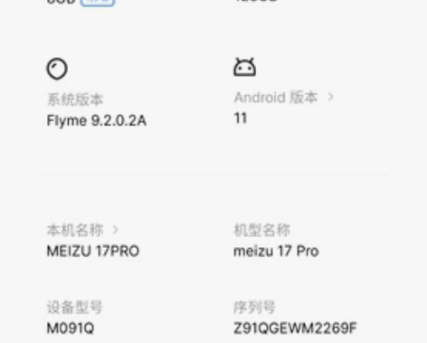 自用魅族17Pro，屏幕绿线，外观有点拉，...