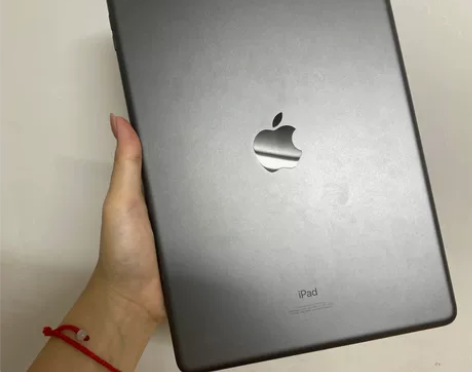 个人一手送笔！  2020款iPad平板电...