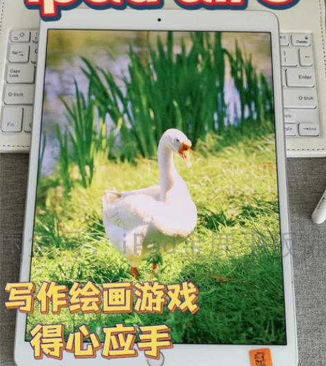 iPad Air3 256G 成色95新 ...