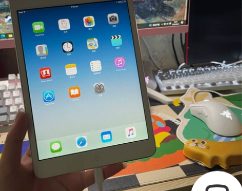 Apple/苹果 iPad mini 搬家...