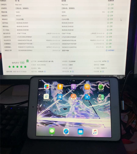 苹果ipad mini1代 听歌看小说刷小...