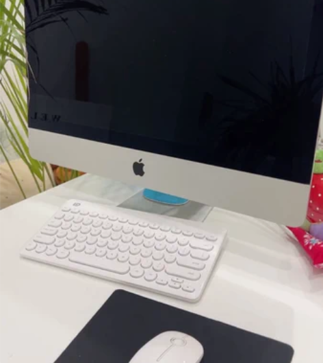 ?刚入手的 店里每天闲置用不上 现在低价转...