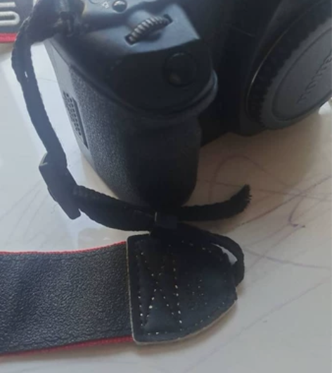 玩了几年单反，偶尔获过小奖，纯粹的热爱，相...