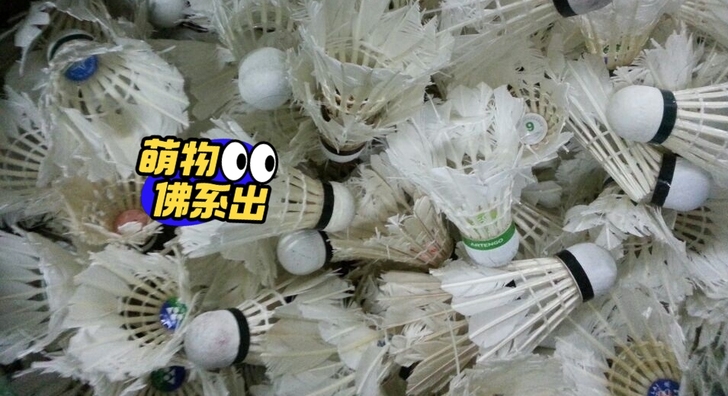 二手羽毛球三五成新200个