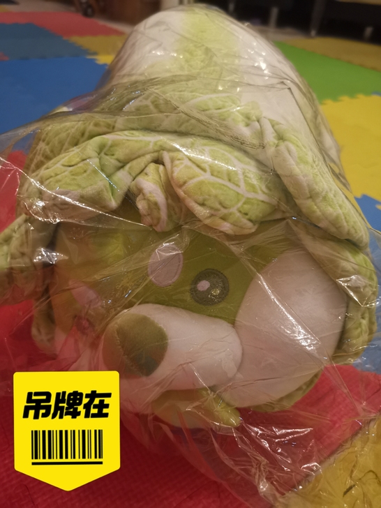 图1:蔬菜精灵,有吊牌