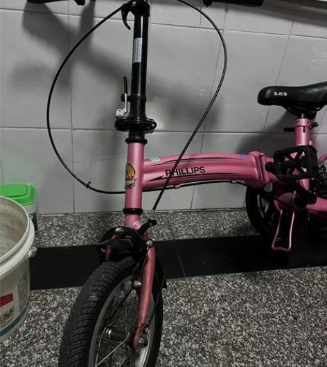 洗洗和新的一样 菲利普折叠自行车原价100...