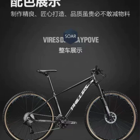 菲利普山地越野车：入手一个月、95新！想换...