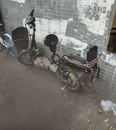 大品牌，喜德盛新国标车，扎实车身，可上牌，...