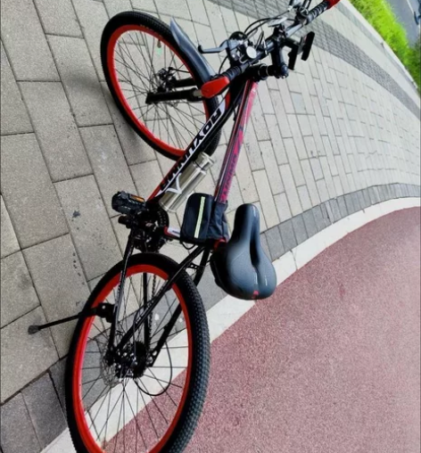 【特价】捷安特同厂山地车公路越野车青少年赛...