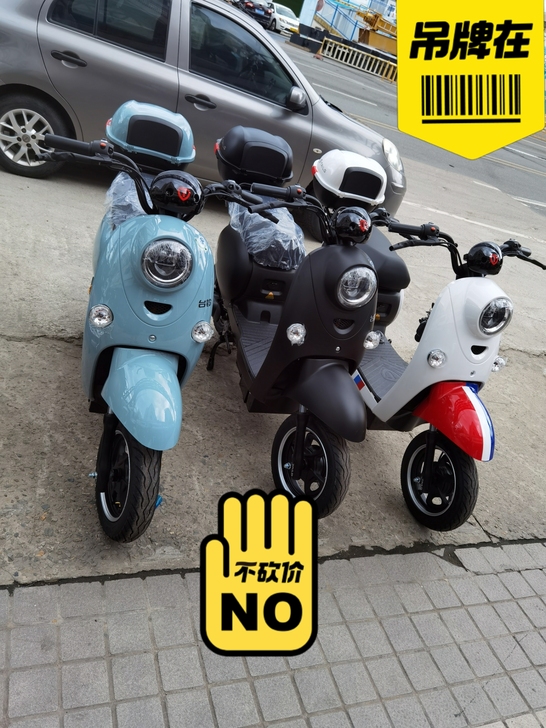 品牌型号 台铃新旧程度 全新 入手渠道 全...