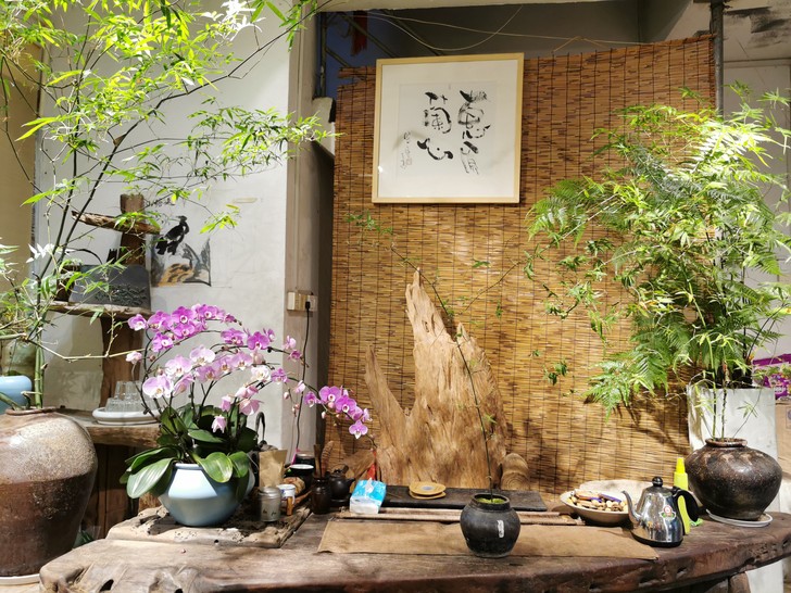 小叶簕竹盆景（陶器花盆），人生知##amp...