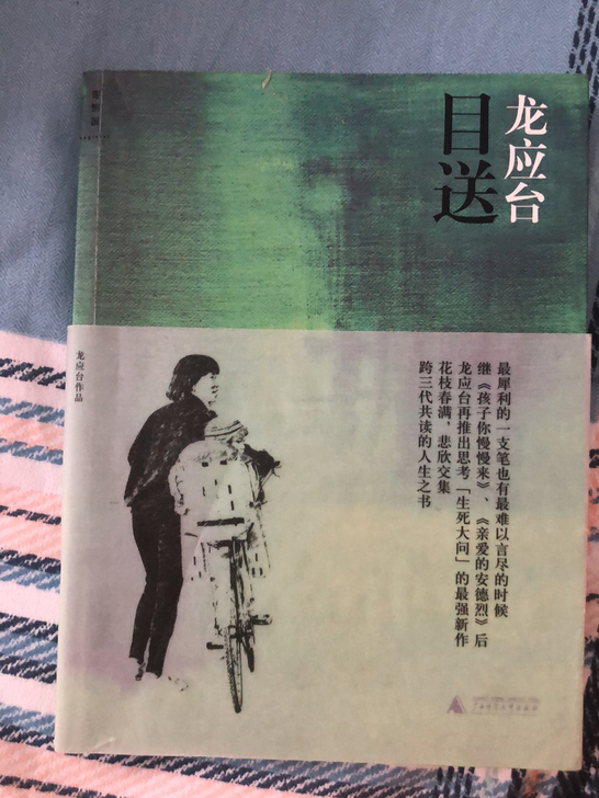 目送龙应台人生三书彩插新版正版中国现当代文...