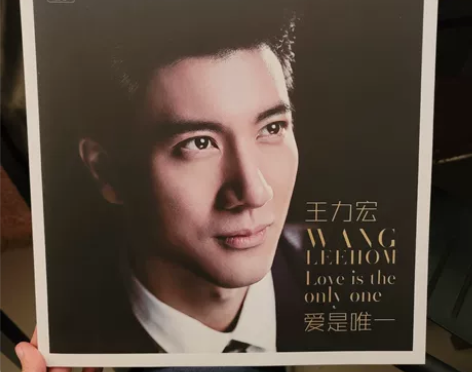 王力宏 爱是唯一 LP黑胶12寸 全新仅拆...
