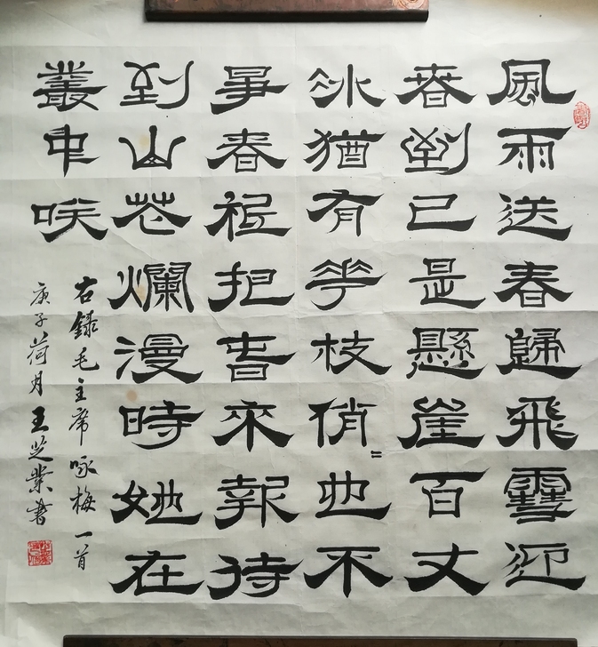 4尺对开，没裱，毛主席诗词，咏梅，隶书，6...