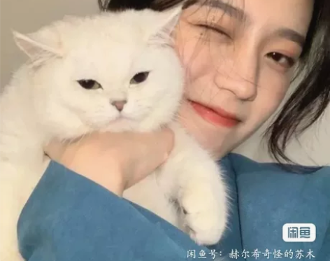 出合肥工业大学外国语言学及应用语言学05～...