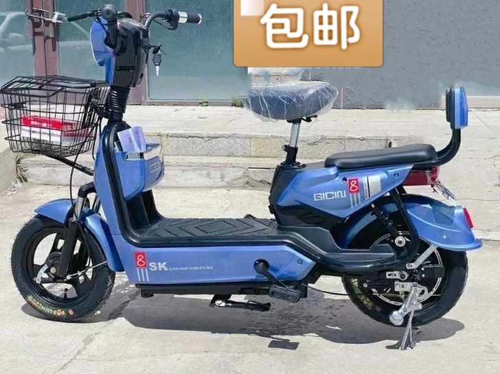 全新国标女士雅迪爱玛同款锂电池电动车电瓶车...