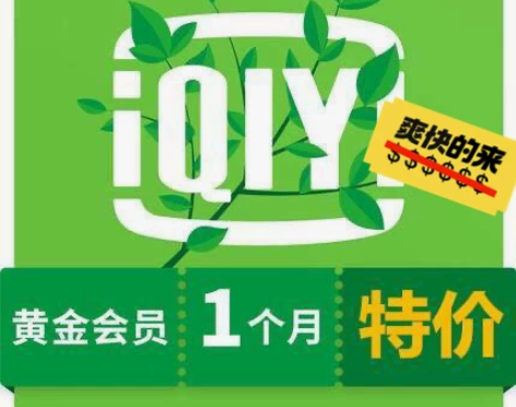 爱奇艺一个月会员（人工-慢充） 填手机号（...