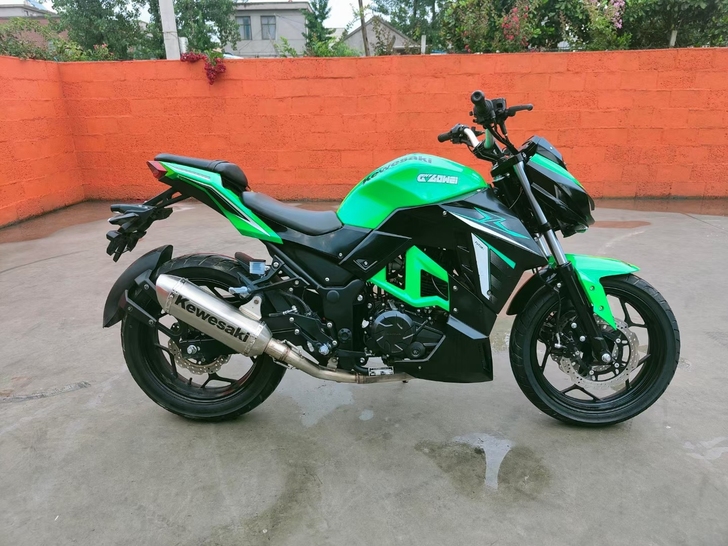 国四电喷十成新冷热一枪着火的菜花蛇到货黄金...