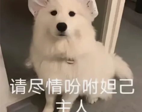 列表万物科幻 最近有爱有绿色或者紫色的眼影...