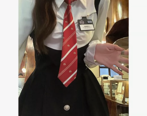 校园小说女主 假两件连衣裙女秋学院风长袖百...