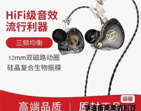 全新未拆封 耳机入耳式重低音降噪hifi德...