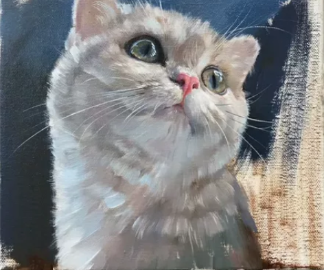 油画宠物猫咪，支持私人订制 感兴趣的话点“...