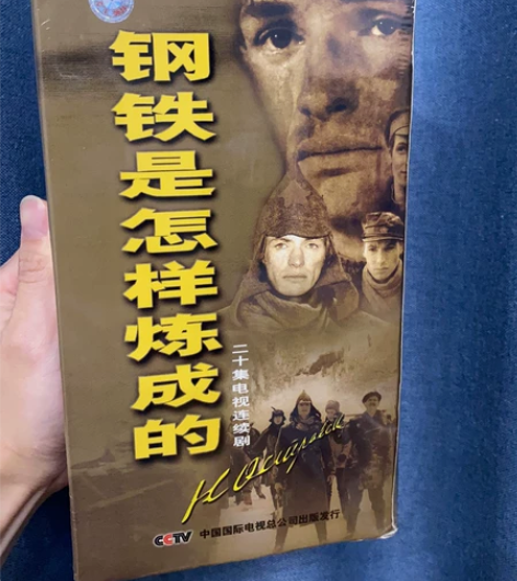 电视剧 钢铁是怎样炼成的 20碟VCD全新...