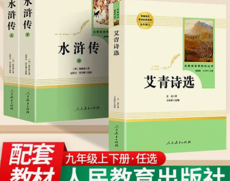 水浒传 水浒传人教版初中生九年级上册语文阅...