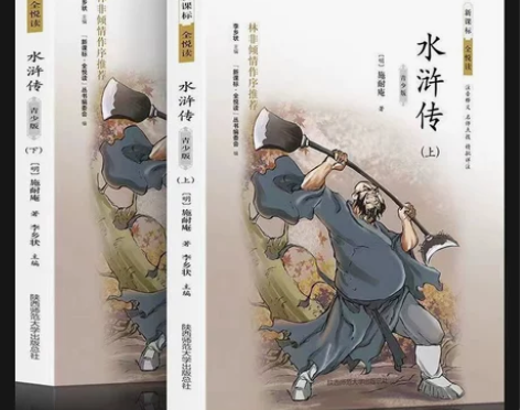 水浒传 小学生白话版 经典名著阅读 四五六...