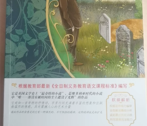 《呼啸山庄》正版几乎全新，孩子翻过，无笔记...