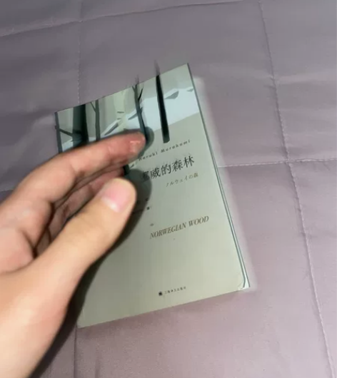挪威的森林，买了一直没看，封面有点微瑕，里...