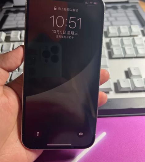 自用98新12Promax 256G白色国...