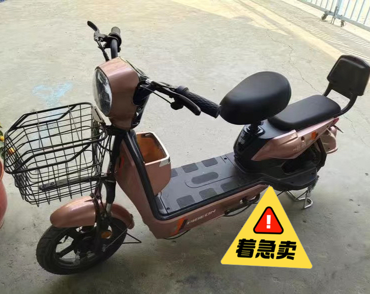 【甩买回本】新国标可上牌电动车成人电动自行...