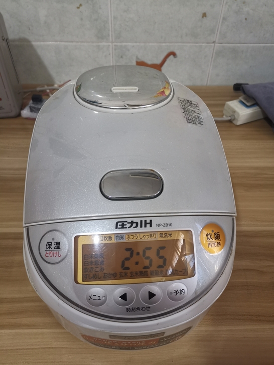 日本进口象印电饭煲维修110V误插220V...