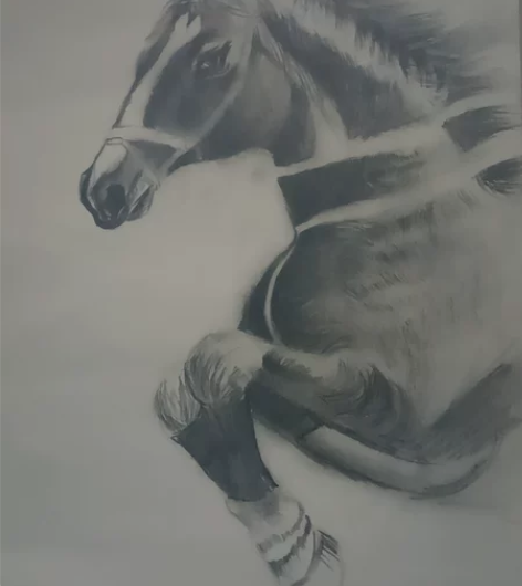 自己画的素描画 感兴趣的话点“我想要”和我...