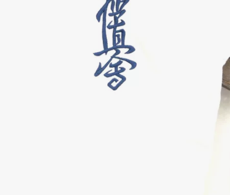 狮魂极真空手道道服、护具、护胸各一套，适合...